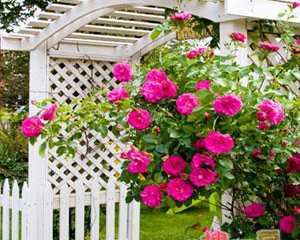 248cc永利集团(中国游)有限公司官网