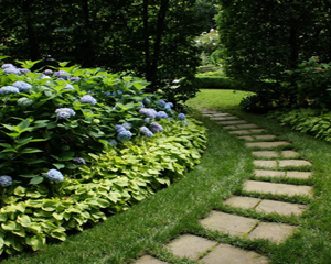 248cc永利集团(中国游)有限公司官网