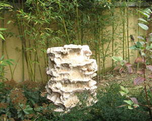 248cc永利集团(中国游)有限公司官网