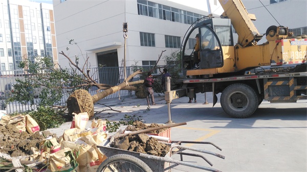 248cc永利集团(中国游)有限公司官网