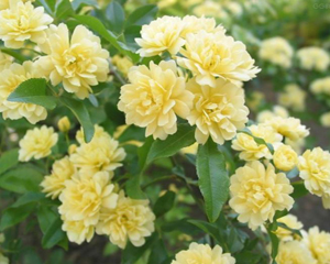 248cc永利集团(中国游)有限公司官网