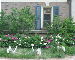 248cc永利集团(中国游)有限公司官网