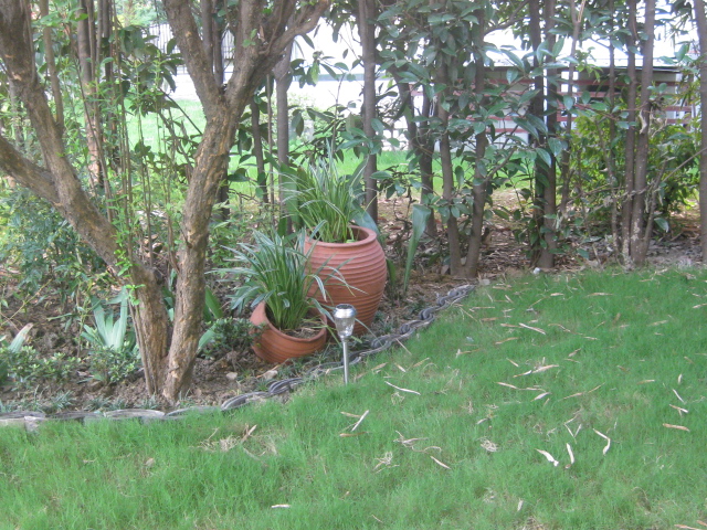 通过巧妙使用植物的崎岖狼籍色彩搭配以及水景的灵动与静谧可以营造出既雅观又协调的花园情形