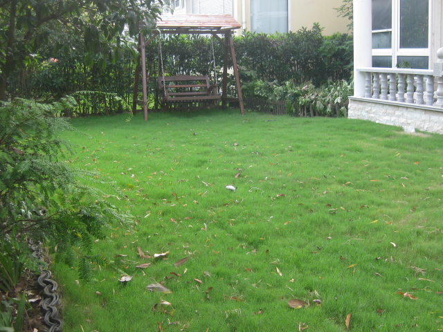 庭院硬质铺装景观设计原则